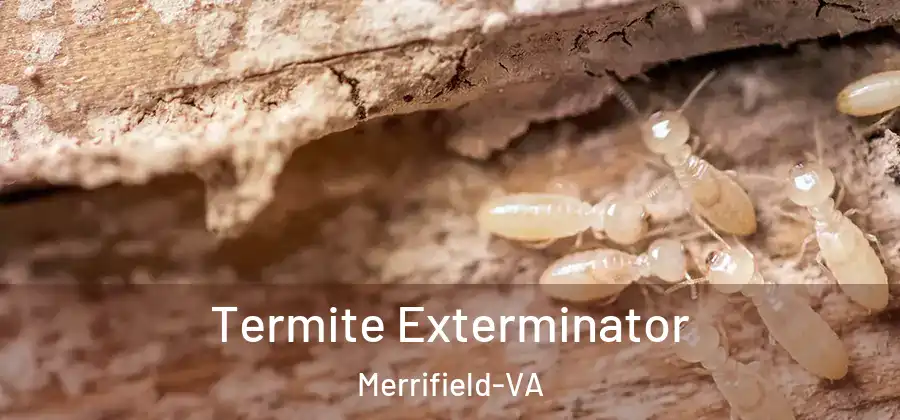 Termite Exterminator Merrifield-VA