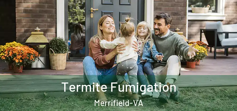 Termite Fumigation Merrifield-VA