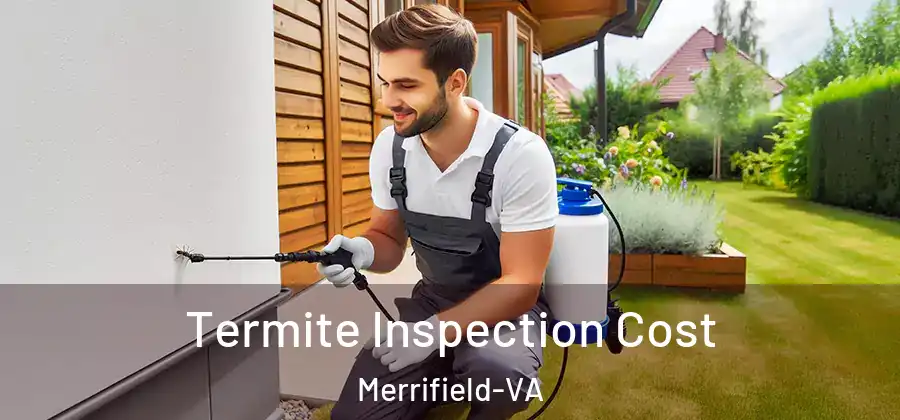 Termite Inspection Cost Merrifield-VA