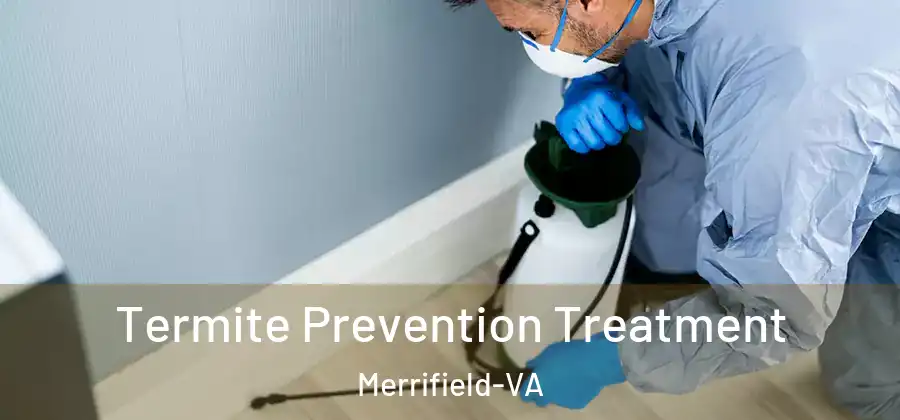 Termite Prevention Treatment Merrifield-VA