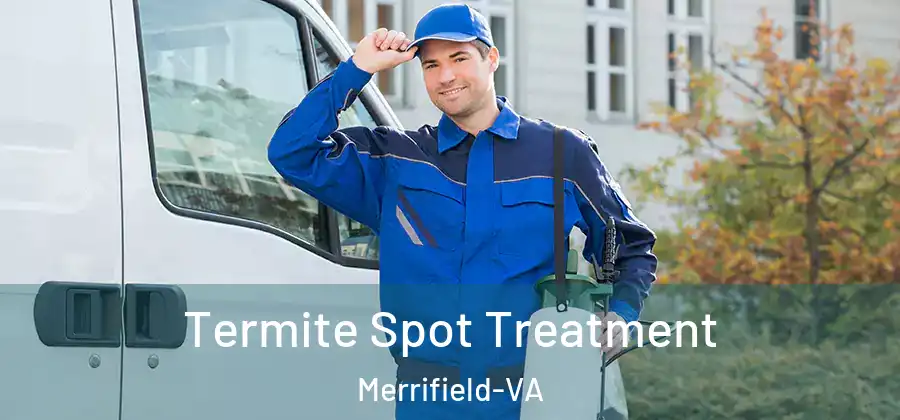  Termite Spot Treatment Merrifield-VA