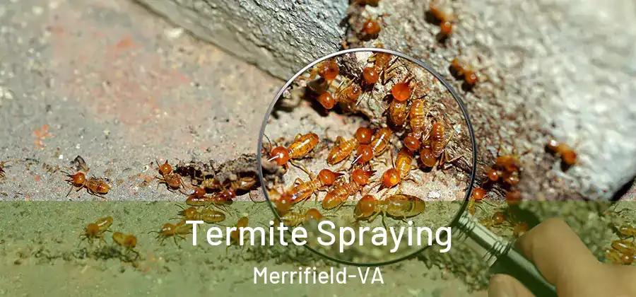 Termite Spraying Merrifield-VA