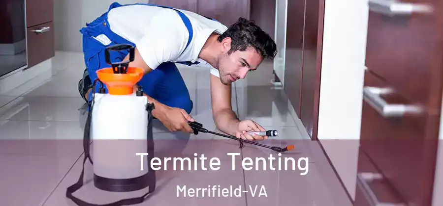 Termite Tenting Merrifield-VA