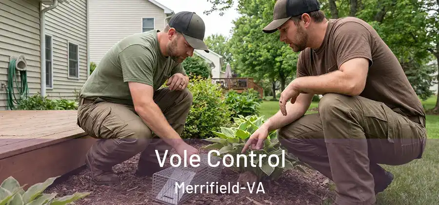 Vole Control Merrifield-VA