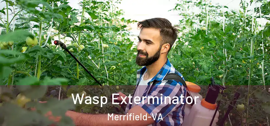  Wasp Exterminator Merrifield-VA