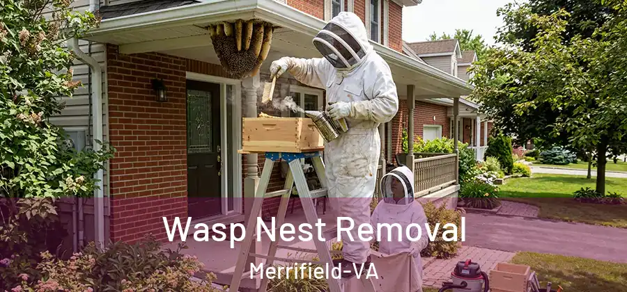  Wasp Nest Removal Merrifield-VA