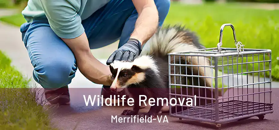 Wildlife Removal Merrifield-VA