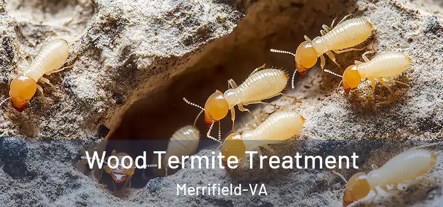 Wood Termite Treatment Merrifield-VA