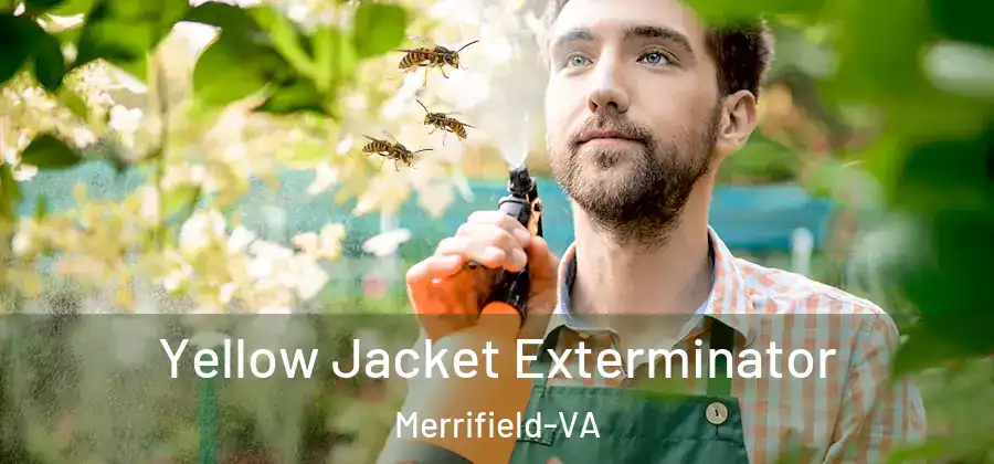 Yellow Jacket Exterminator Merrifield-VA