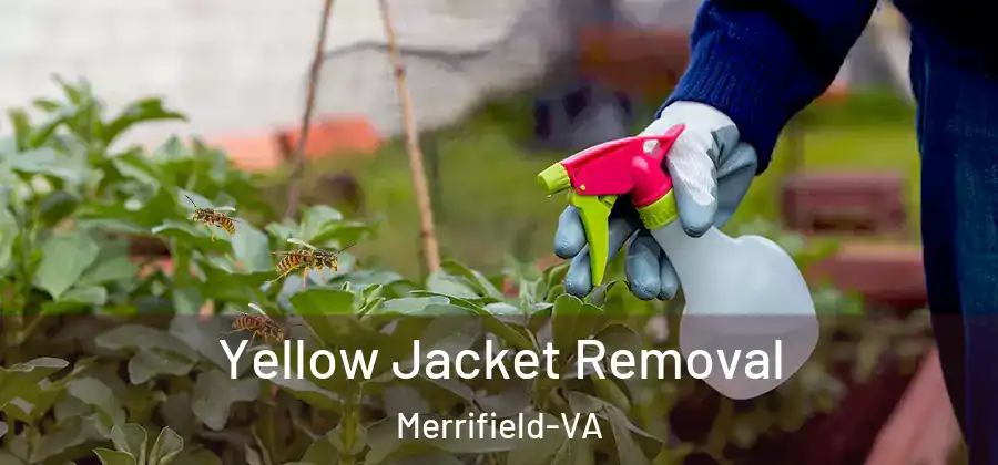  Yellow Jacket Removal Merrifield-VA
